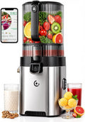 Amzchef Sapcentrifuge Slow Juicer 158mm, 2 Filters, 300W