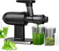 Sapcentrifuge Slow Masticating Juicer