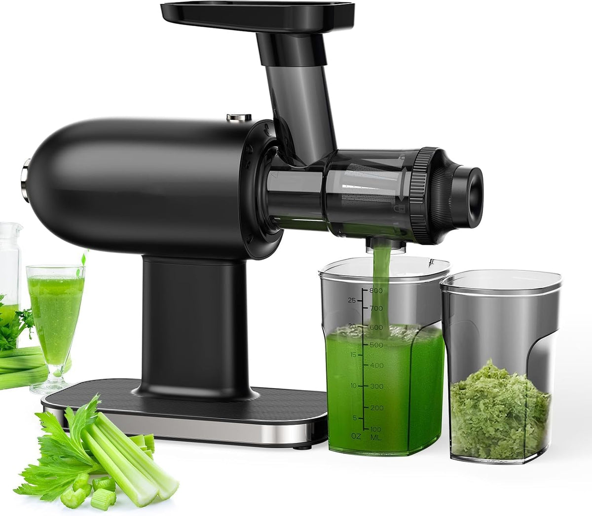 Sapcentrifuge Slow Masticating Juicer