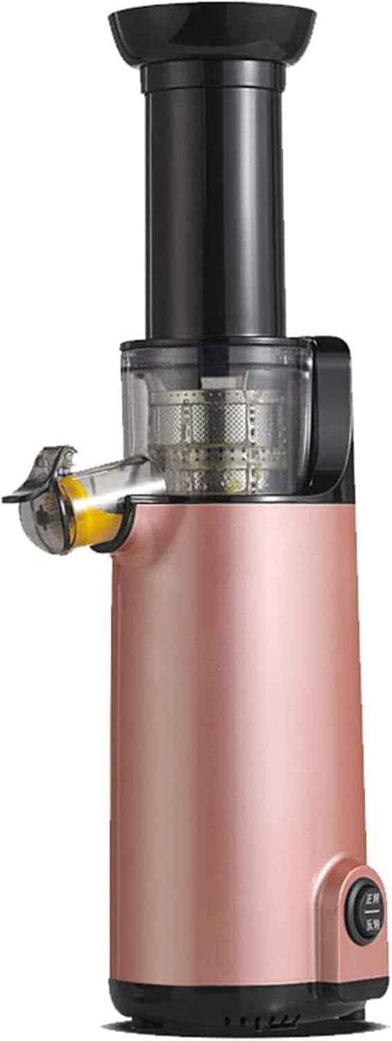 Sapcentrifuge Slow Juicer, draagbaar 120W ontwerp, Compacte koude pers Masticating Juicer, met omgekeerde functie, voor optimale sapopbrengst