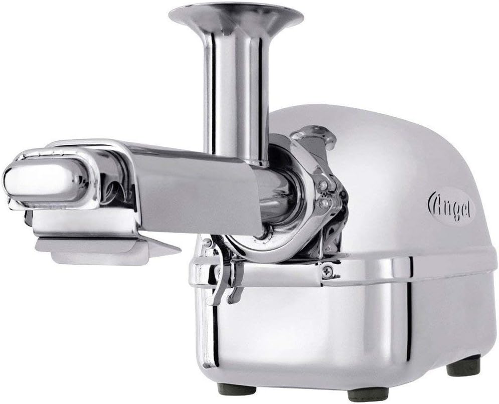 Sapcentrifuge Angel Juicer 5500, Slow Juicer 100% roestvrij staal, voor groenten en fruit