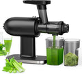 FAcoLL Sapcentrifuge Slow Masticating Juicer, Selderij Juicer Machines, met omgekeerde functie, Koude Pers Juicer Machines, voor Groente en Fruit