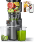 Amzchef Sapcentrifuge Slow Juicer 250W, met 150 mm XL fruit- en groentepers, met 2 liter inhoud, grijs, Automatische koudgeperste sapcentrifuge